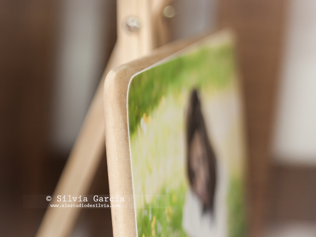 _MG_0316, productos artesanales en madera, ideas para tus fotos, fotos en dm, fotos en madera