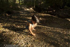 fotografía familiar Madrid, fotos de familia naturales, fotos en el campo, sesiones de familia en exteriores, fotografía de familia Moralzarzal