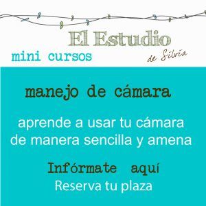 curso de fotografía básica, aprender fotografía, manejo de cámara, fotografía Moralzarzal