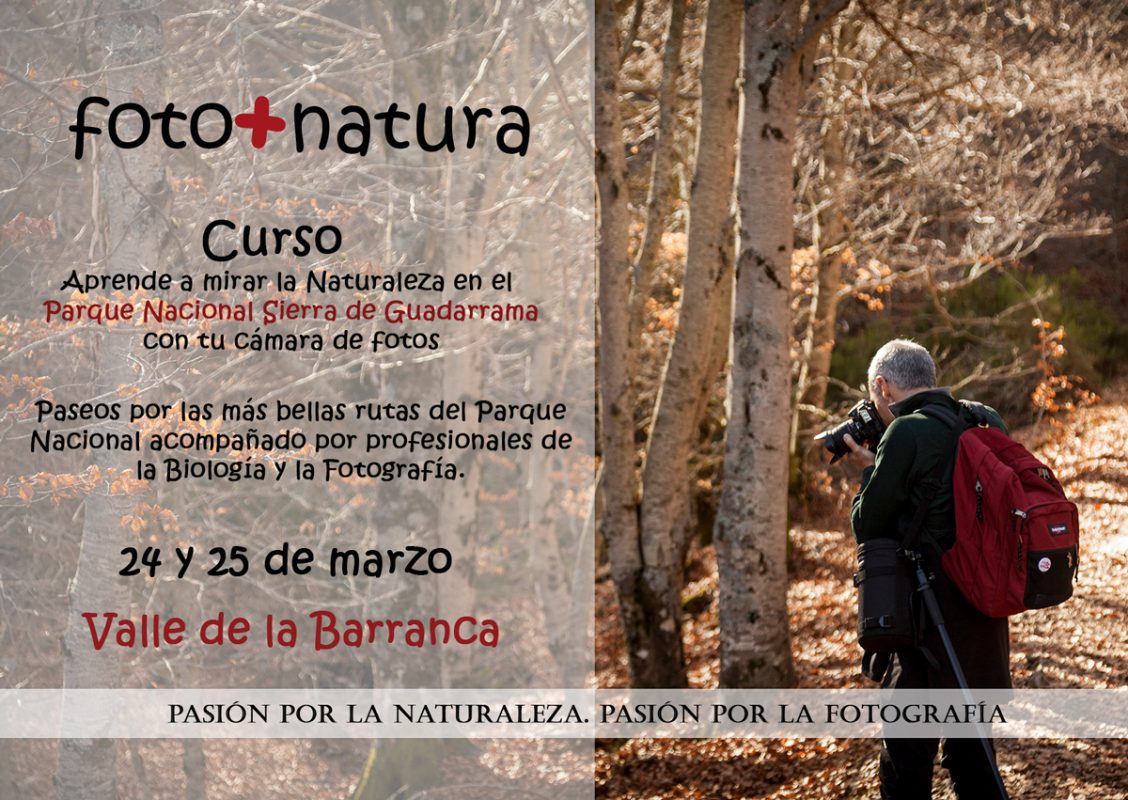 curso de fotografía y naturaleza, Sierra de Guadarrama, Parque Nacional Sierra de Guadarrama, La Barranca, 