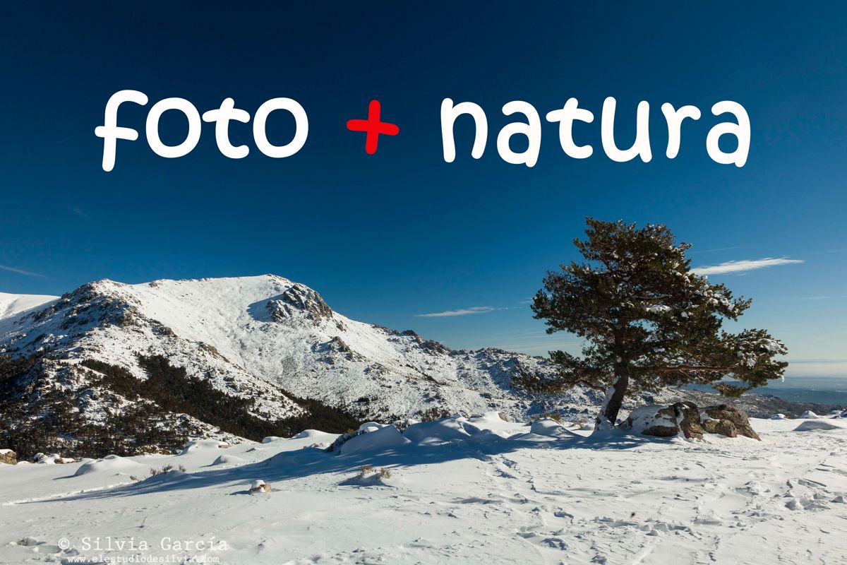 Nuevo curso foto+natura