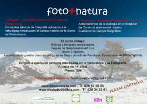 foto+natura, curso de fotografia naturaleza, Sierra de Guadarrama, Abedular de Canencia