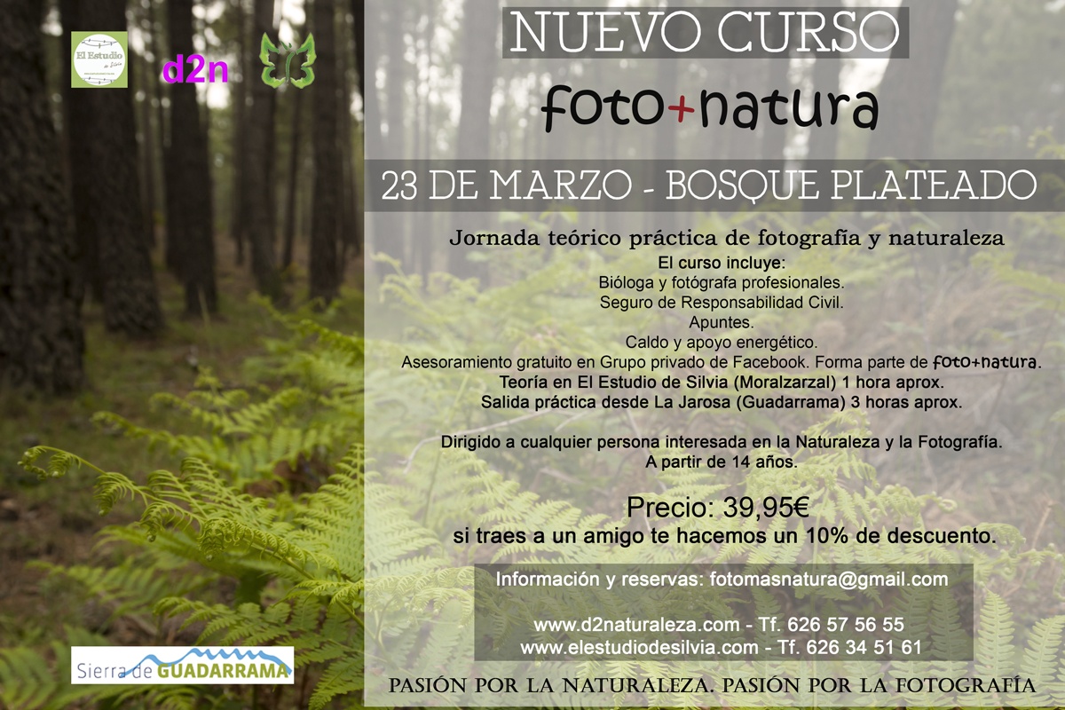 Sierra de Guadarrama, curso de fotografía y naturaleza, foto+natura, El Estudio de Silvia, Guadarrama, Bosque plateado, La Jarosa