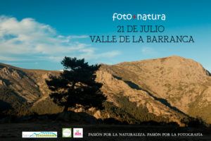 curso de fotografia naturaleza, fotografía de naturaleza, foto mas natura, Sierra de Guadarrama