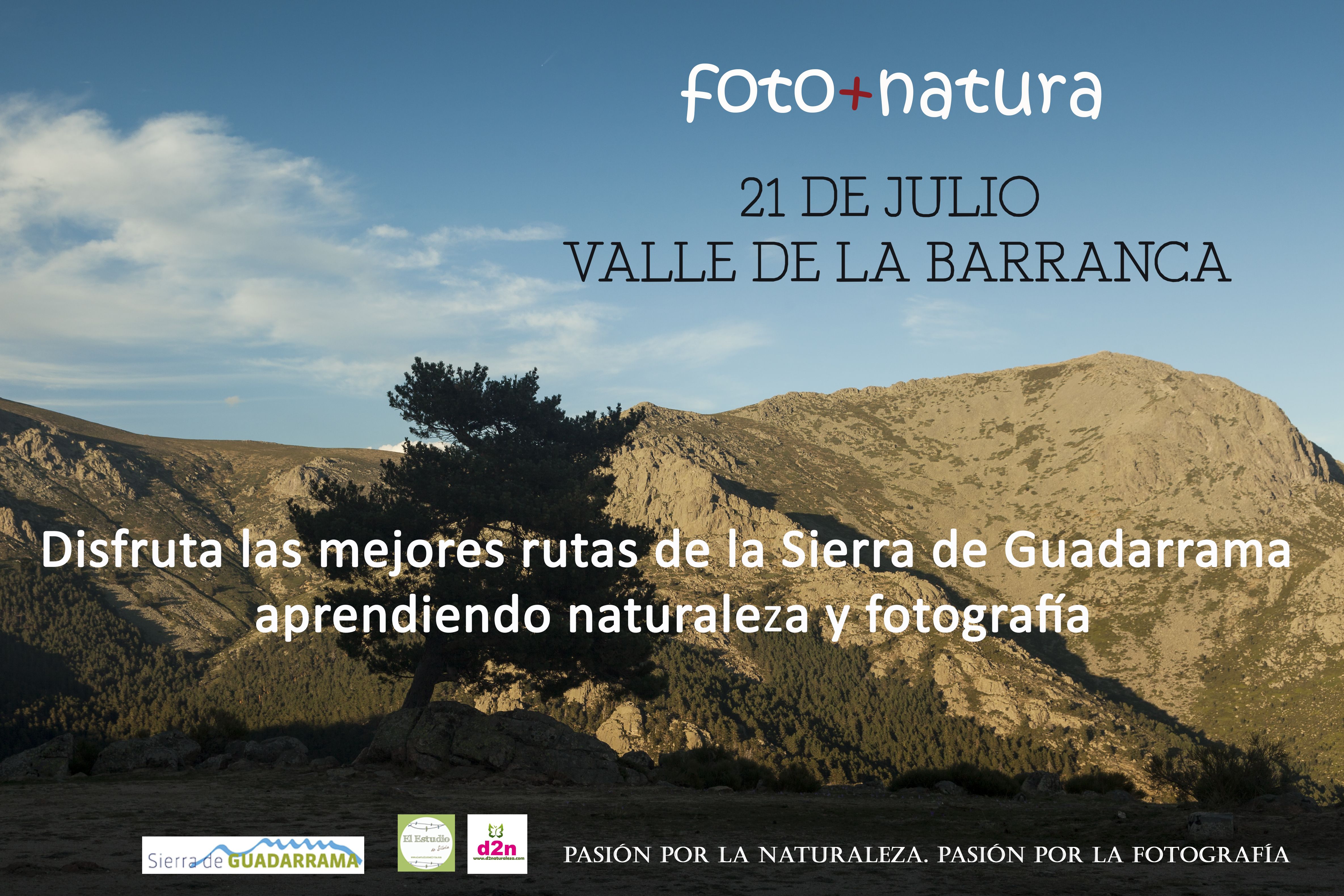 fotografía y naturaleza, foto+natura, Sierra de Guadarrama, curso de fotografía