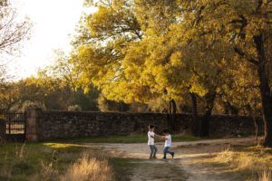 sesiones de otoño