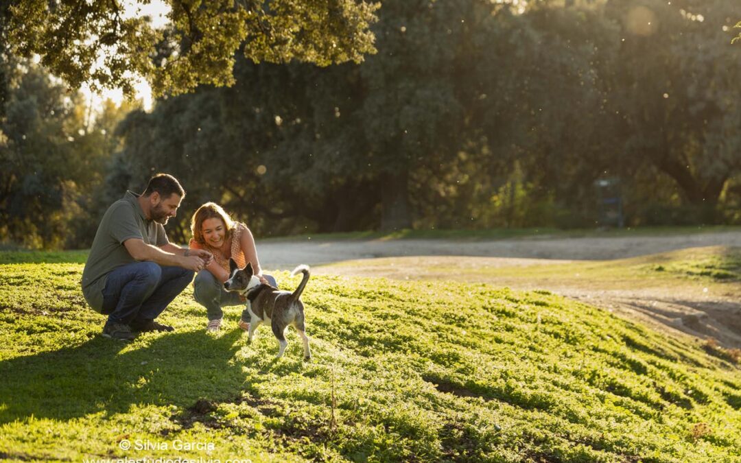 pareja en el campo jugando con su perro