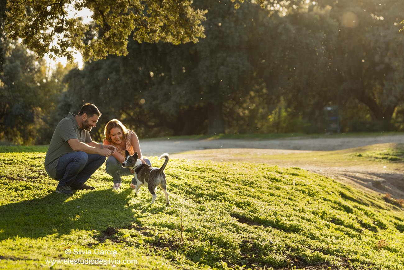 pareja en el campo jugando con su perro