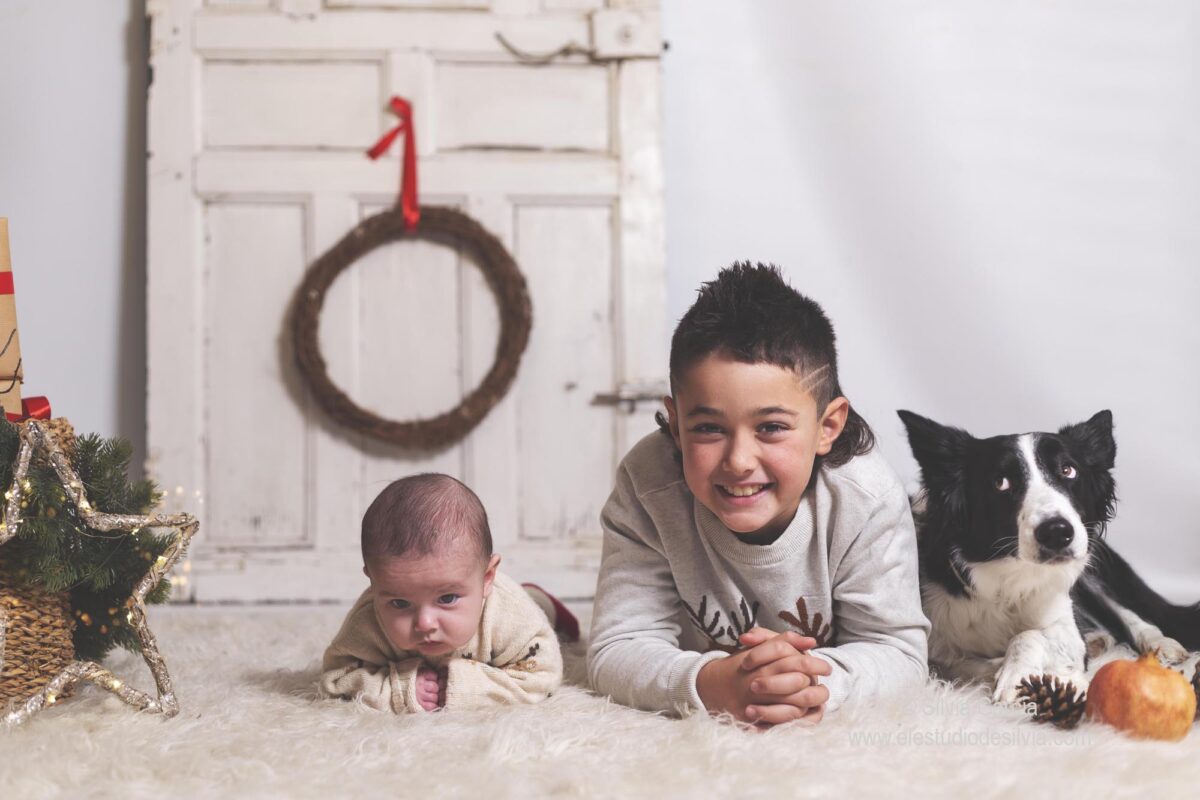 fotos con tu mascota